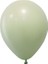Pastel Balon Makaron Yeşil 10'lu 1