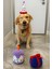Köpek Parti Kutusu 5’li Set | Parti Şapkası, Peluş Pasta, Peluş Hediye Kutusu ve 2 Ödül Maması 3