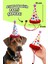 Köpek Parti Kutusu 5’li Set | Parti Şapkası, Peluş Pasta, Peluş Hediye Kutusu ve 2 Ödül Maması 5