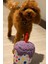 Köpek Parti Kutusu 5’li Set | Parti Şapkası, Peluş Pasta, Peluş Hediye Kutusu ve 2 Ödül Maması 7