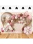 Pembe Papatya Folyolu Retro Balon Set 2