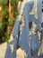 Müslin Kimono %100 Pamuklu Dalmaçyalı Desenli Jakarlı Bornoz Kaftan Sabahlık 7