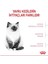 Kitten Yavru Kedi Maması -2 kg 5