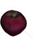Apple Richard (Özel Isim – Açıklama Yok) 1
