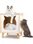 Furnook Komodin Çok Amaçlı Kedi Mobilyası 5