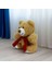 Fularlı Peluş Ayıcık Kahverengi 22CM 3