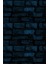 Mavi Tuğla Blue Brick Güç Spor Salonu & Fitness Tek Parça Tekstil Poster Duvar Kağıdı 3