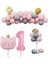 Çıtıpıtıstore Pembe Reknli Balon Set 1