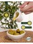 Kb Köyceğiz Yöresel Ekincik Çıtlatma Zeytin 600 gr 2