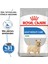 Mini Light Weight Care Küçük Irk Diyet Köpek Maması 3 1