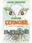 Sorosun Çernobil 1