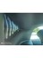 Seat Leon Arka Cam Aksesuar Uyumlu 1