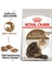 Ageing 12+ Yaşlı Kuru Kedi Maması 2 kg 1