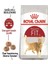 Fit 32 Yetişkin Kuru Kedi Maması 4 kg 1