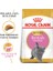 British Shorthair Kitten Yavru Kedi Maması 2 kg 1