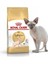 Sphynx Kedi Maması 2 kg 1