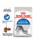 Indoor 27 Ev Kedileri Için Yetişkin Kedi Maması 2 kg 1