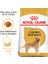 Golden Retriever Adult Yetişkin Köpek Maması 12 kg 1