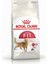 Fit 32 Yetişkin Kedi Maması 4 kg 1