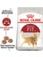 Fit 32 Kuru Kedi Maması 4 kg 2
