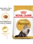 Persian Adult Yetişkin Iran Kedi Maması 2 kg 1