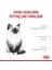 Kıtten- Yavru Kedi Maması- 4 kg 3