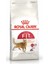 Fit 32 Yetişkin Kedi Maması 10 kg 1
