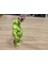 Shrek Diş Macunu Kapağı 2