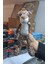 30 cm Asılabilir Elleri Vantuzlu Oyuncak Peluş Leopar 3