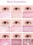 Mat ve Işıltılı Renk Seçenekleri Sunan Far Paleti Dasıque Shadow Palette (#20 Blueberry Sorbet) 3