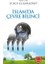 Islam' Da Çevre Bilinci 1