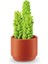 Nessiworld MN800010 - MN800000 Mini Brands - Botanik Bahçe 77559 3