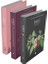 Rüzgârın Kızı Emily Serisi (3 Kitap) 1
