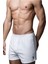 U.s. Polo Erkek Pamuklu Boxer 1