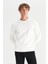 Erkek Sweatshirt W2520534100 3