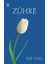 Zühre 1
