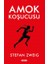 Amok Koşucusu 1