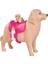 Nessiworld Evi Köpeği ve 3 Yavrusu SMB-105733072 2