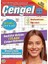 Fenomen Çengel Bulmaca 16 1