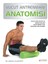 Vücut Antrenmanı Anatomisi 1
