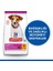 Hills Puppy Small & Miniature Tavuklu Küçük Irk Yavru Köpek Maması 3 kg 2