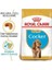 Royal Canin Cocker Junior Yavru Köpek Maması 3 kg 2