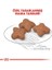 Royal Canin Mini Adult 8+ Küçük Irk Yaşlı Köpek Maması 2 kg 4