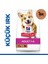 Hills Adult Small Küçük Irk Kuzulu Yetişkin Köpek Maması 5 Kg+1 kg Hediyeli 1