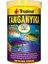 Tropical Tanganyika Flakes Tanganyika Cichlid Balıkları Için Pul Balık Yemi 250 ml 50 gr 1