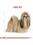 Royal Canin Shihtzu Adult Yetişkin Köpek Maması 1.5 kg 5