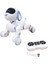 GAW-6601 Kumandalı Interaktif Akıllı Robot Köpek 3