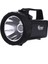 Güvenlik Feneri 30 W Kuvvetinde WT-401 ( Lisinya ) 4