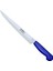 Bursa Fileto ve Balık Bıçağı No:2, 25 Cm, Plastik Sap ( Lisinya ) 1