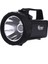 Buğz Güvenlik Feneri 30 W Kuvvetinde WT-401 4